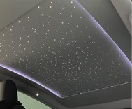 Tesla Model Y Starlight Roof Designed for the Panoramic Glass Roof